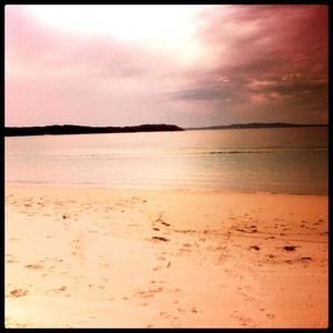 Meet your Posher, Elace